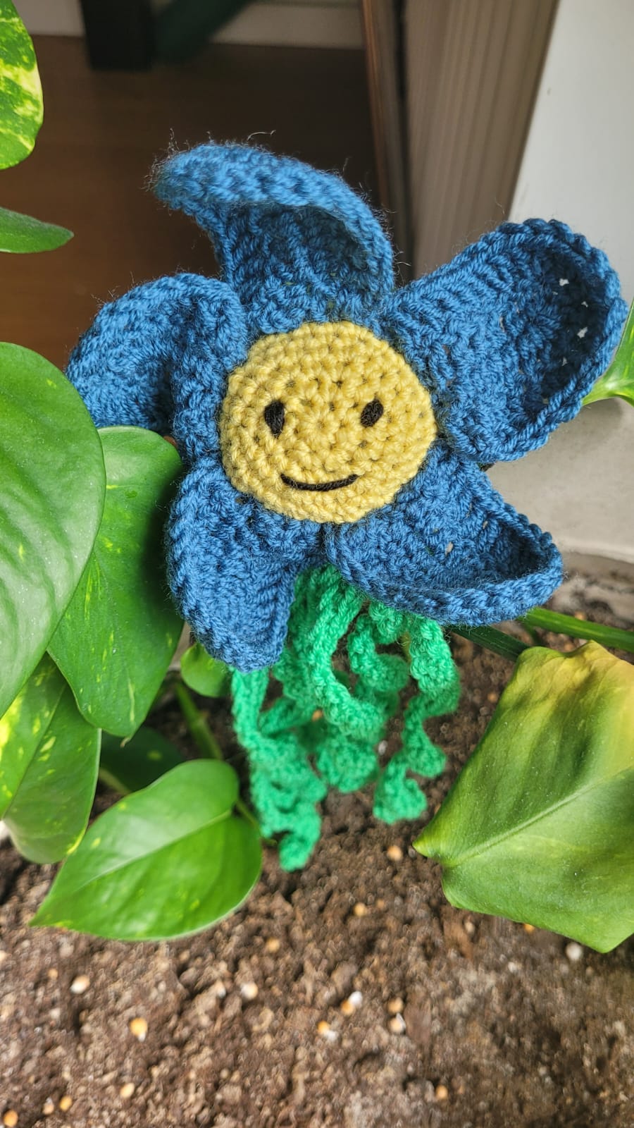 Flower Curl