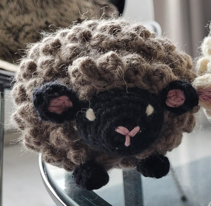 Sheep