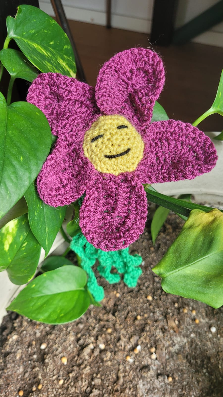 Flower Curl